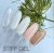 Гель-желе для моделювання Saga Jelly Gel Stiff Pastel №2, молочний, 13мл - фотография товара. Купить с доставкой в интернет магазине Nailmag 3